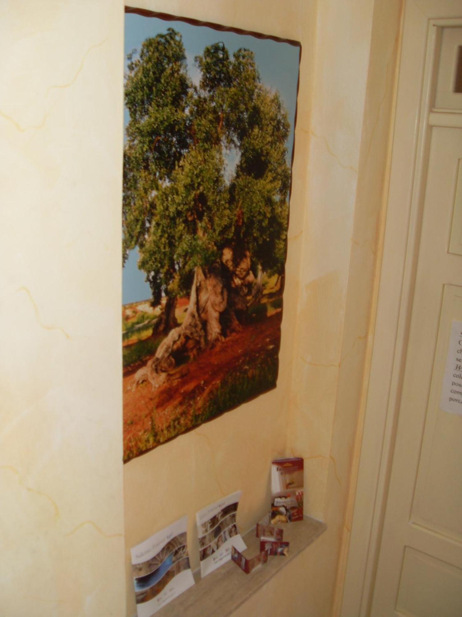 B&B Frammenti D'Itria Ceglie Messapica Dış mekan fotoğraf